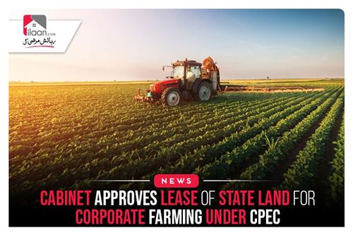 Cabinet approves lease of state land for corporate farming under CPEC