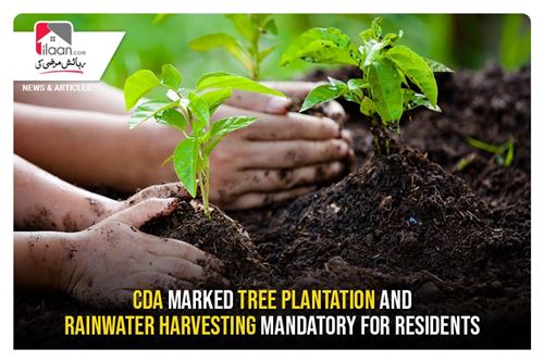 CDA marked tree plantation and rainwater harvesting mandatory for residents