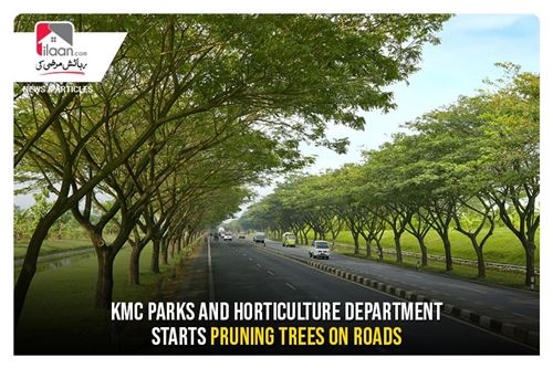 KMC parks and horticulture department starts pruning trees on roads