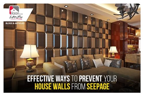 Effective ways to prevent your house walls from seepage