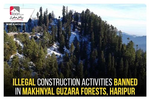 Illegal construction activities banned in Makhnyal Guzara Forests, Haripur