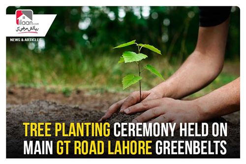 Tree planting ceremony held on main GT Road Lahore greenbelts