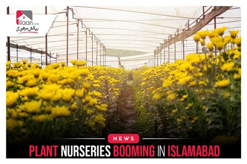 Plant Nurseries Booming in Islamabad