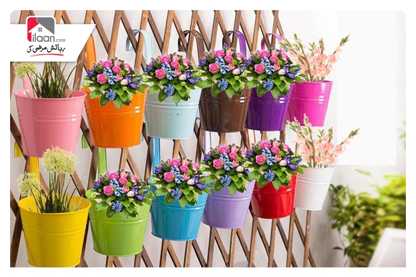 HANGING FLORAS POTS