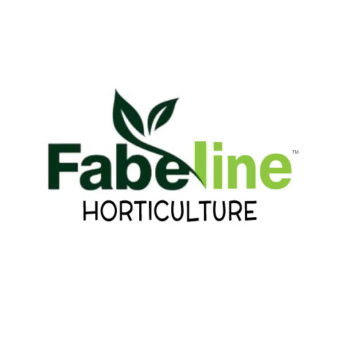 Fabeline Horticulture Pvt LTD