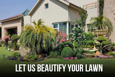 Fabeline Horticulture Pvt LTD