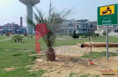 1 Kanal Plot for Sale in Eden Orchard, Faisalabad