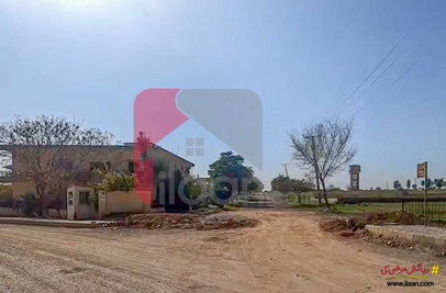 6.2 Marla Commercial Plot for Sale in Block C, Pakistan Employees Cooperative Housing Society, Islamabad
