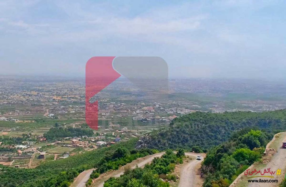 1 Kanal Plot for Sale in C-14, Islamabad