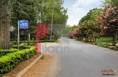 1 Kanal 6.6 Marla House for Rent (First Floor) in E-7, Islamabad