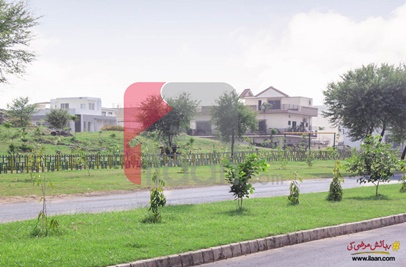 5.6 Marla Plot for Sale in D-12, Islamabad