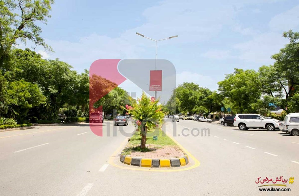 9.7 Marla Building for Sale in F-6, Islamabad