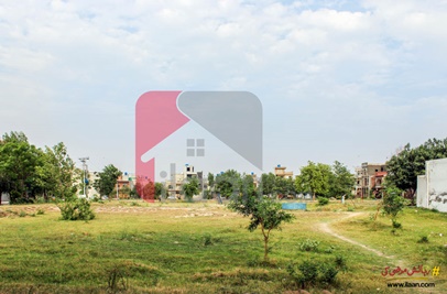 3 Marla House for Rent (Ground Floor) in Eden Boulevard, Lahore