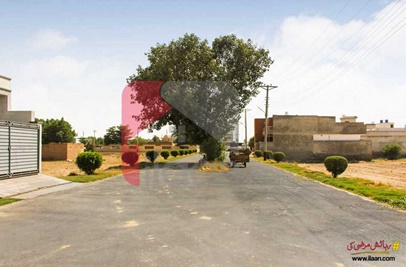 3.8 Marla Plot (Plot no 1) for Sale in Bahawalpur Avenue Housing Scheme, Bahawalpur