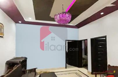 7 Marla House for Rent in Allama Iqbal Town, Bahawalpur