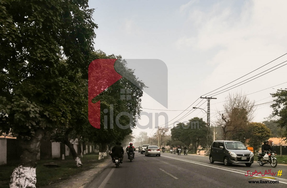 1 Kanal 14 Marla House for Rent on Shami Road, Lahore Cantt, Lahore