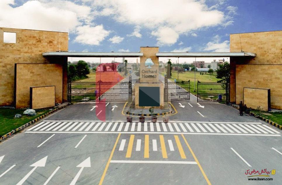 7 Marla Plot for Sale in Orchard Homes, Faisalabad