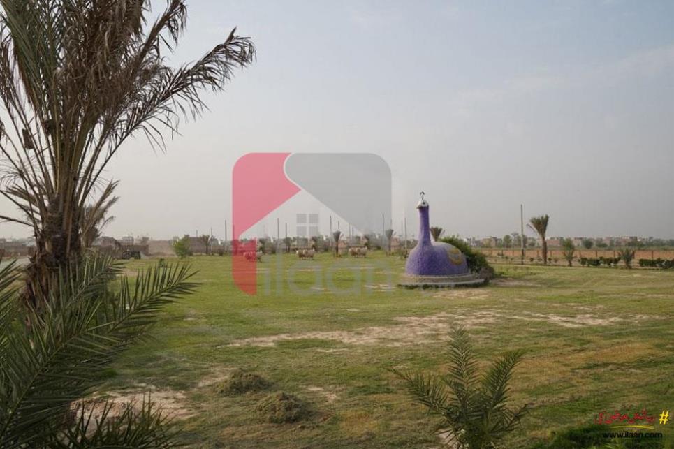 3.3 Marla Plot for Sale in Doctors City, Satiana Road, Faisalabad