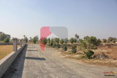 4 Marla Plot (Plot no 20) for Sale in Al-Kareem Garden Housing Scheme, Bahawalpur