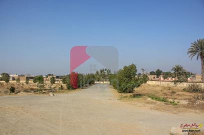 7 Marla Plot-8 For Sale in Al-Kareem Garden Housing Scheme Hasilpur Road Bahawalpur