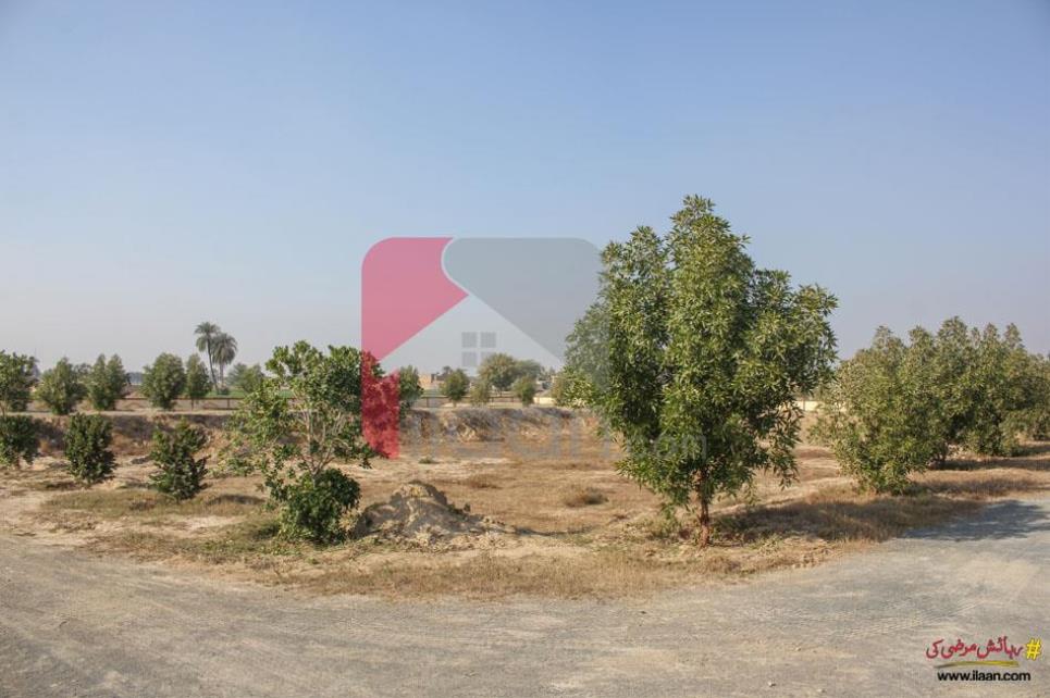 3 Marla Plot for Sale in Phase 1, Al-Kareem Garden Housing Scheme, Bahawalpur
