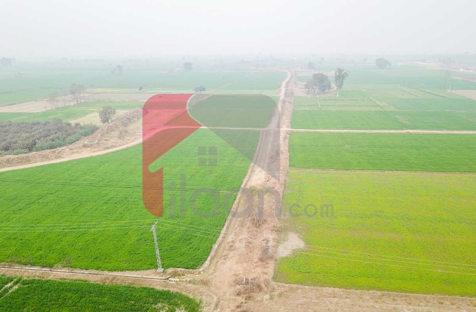 6 Kanal Farm House Plot for Sale in IVY Farms, Barki Road, Lahore