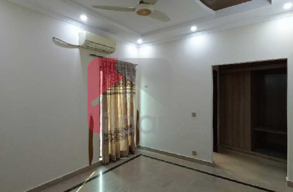 5 Marla House for Rent in Block D, Phase 5, DHA Lahore