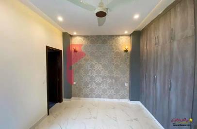 2 Marla Shop for Rent in Punjab Co-Operative Housing Society, Lahore