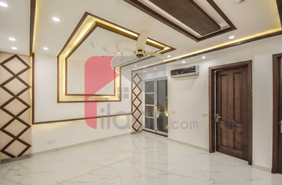 1 Kanal House for Rent in Phase 5, DHA Lahore