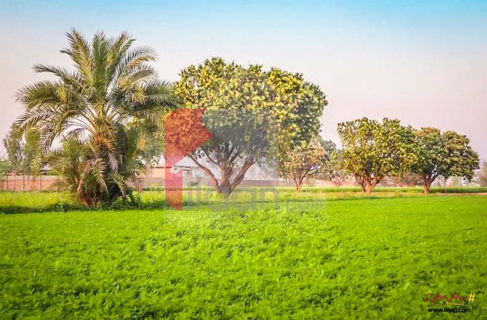 32 Kanal Agriculture Land for Sale on Satiana Road, Faisalabad