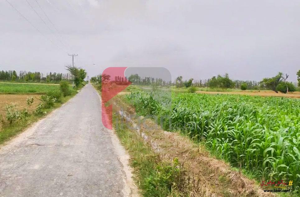 80 Kanal Agriculture Land for Sale on Satiana Road, Faisalabad