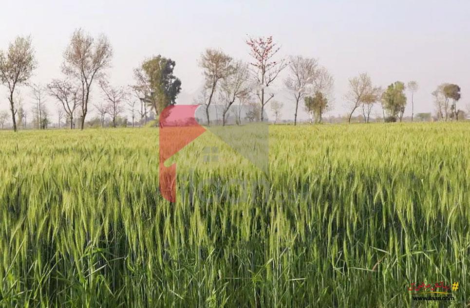 48 Kanal Agriculture Land for Sale on Satiana Road, Faisalabad