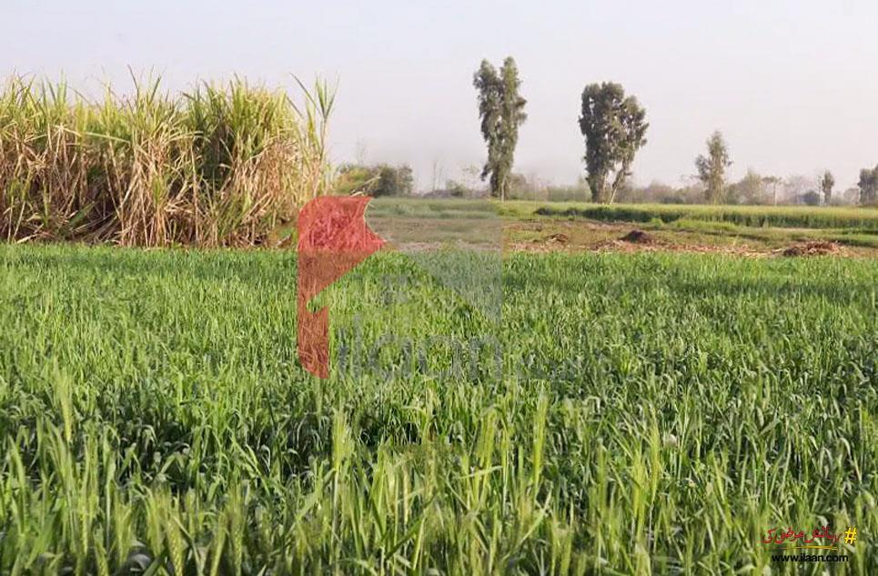 20 Kanal Agriculture Land for Sale on Jaranwala Road, Faisalabad