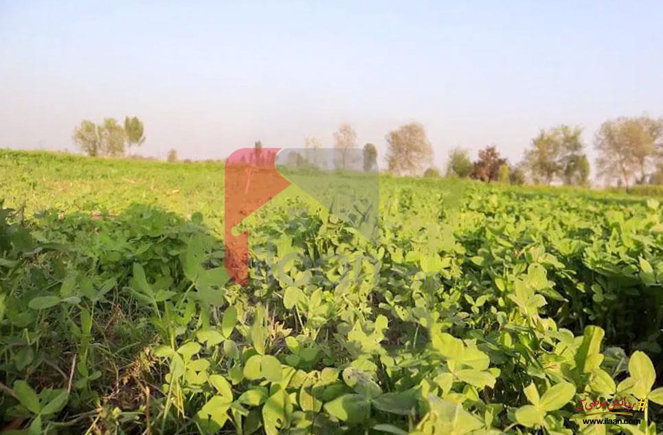 24 Kanal Agriculture Land for Sale on Jaranwala Road, Faisalabad