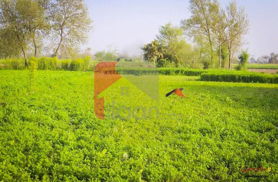 400 Kanal Agriculture Land for Sale on Jaranwala Road, Faisalabad
