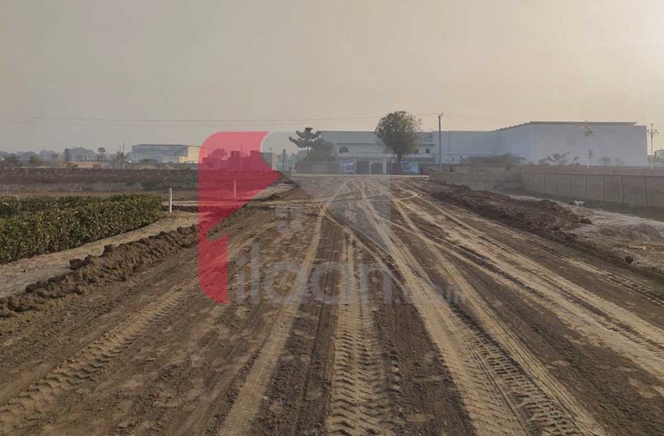 3 Marla Plot for Sale in Canal Avenue Housing, Sahiwal