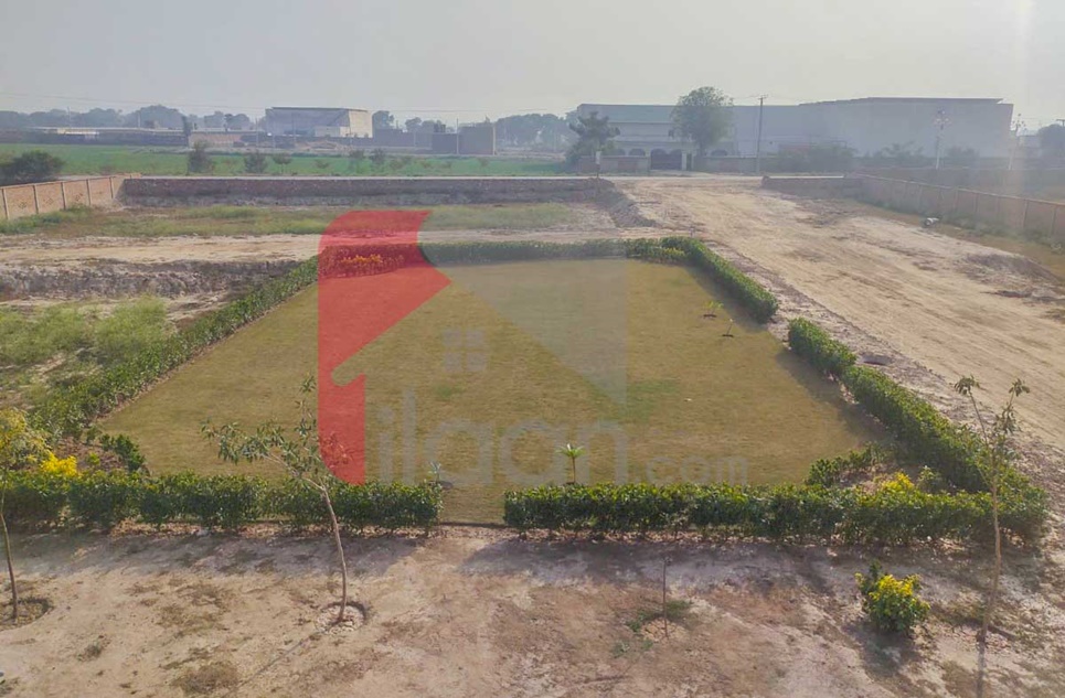 3 Marla Plot for Sale in Canal Avenue Housing, Sahiwal