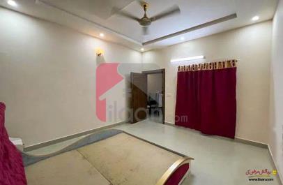 7 Marla House for Rent in Model City 1, Faisalabad
