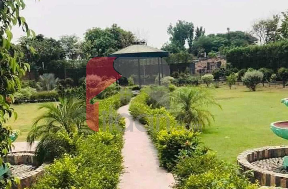 6 Kanal Farmhouse for Rent in Thethar, Lahore