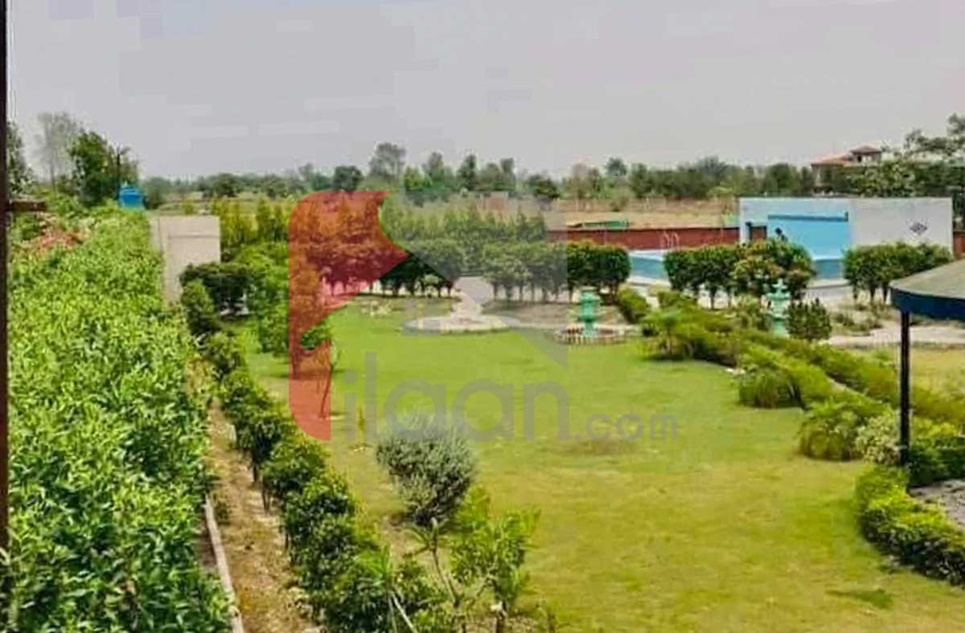 6 Kanal Farmhouse for Rent in Thethar, Lahore
