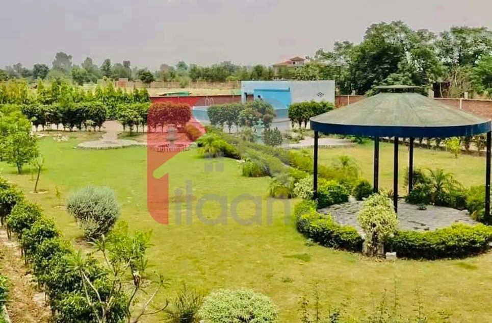 6 Kanal Farmhouse for Rent in Thethar, Lahore