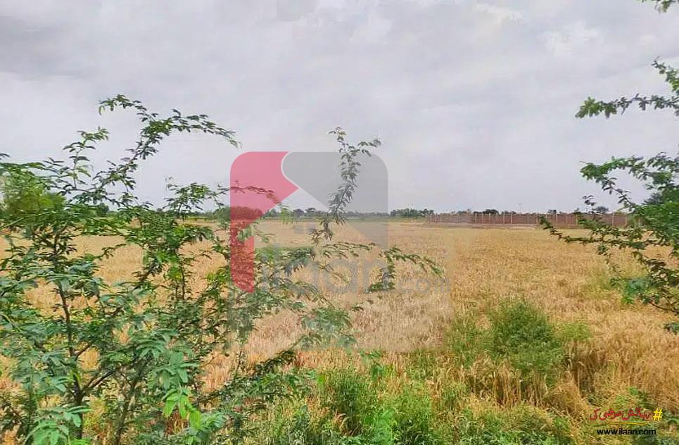 12 Acre Agriculture Land for Sale in Jandanwala, Faisalabad