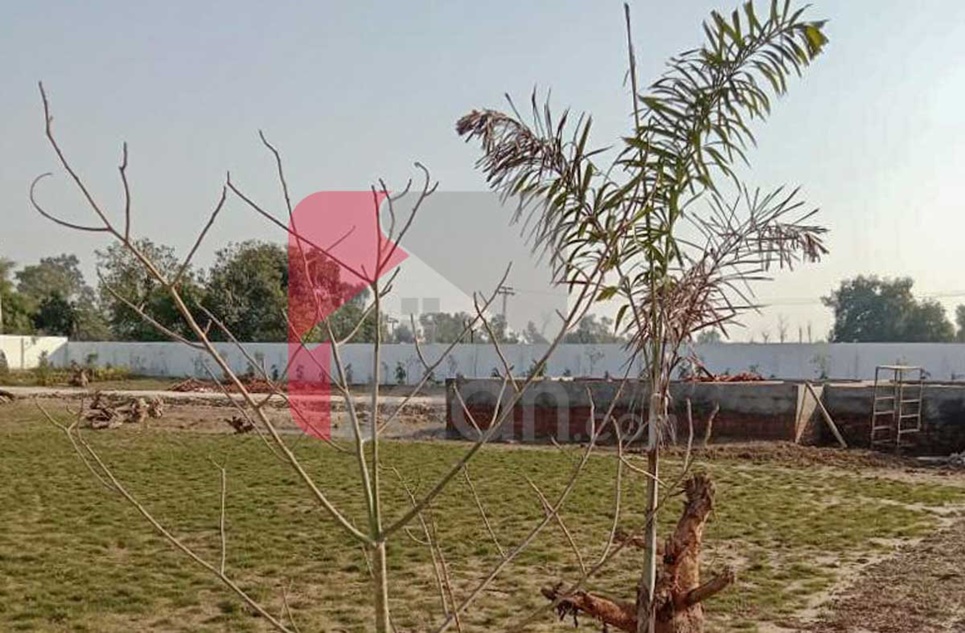 8 Kanal Farm House Plot for Sale in Green Farm, Bedian Road, Lahore