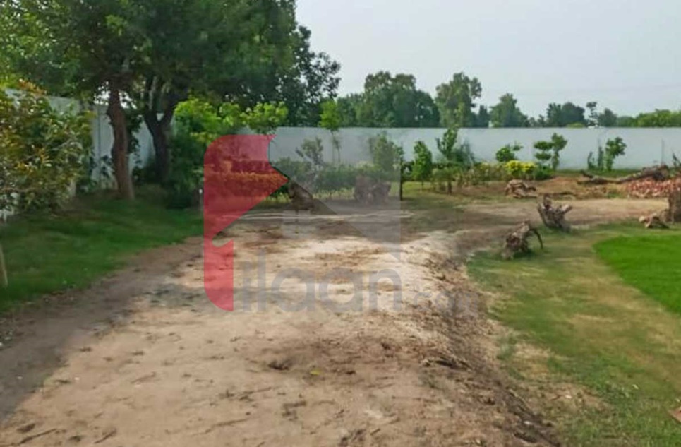 8 Kanal Farm House Plot for Sale in Green Farm, Bedian Road, Lahore
