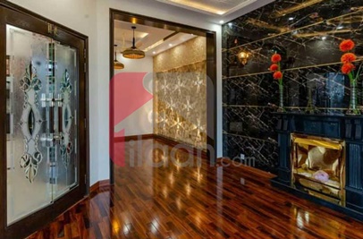 1 Kanal House for Rent in Phase 5, DHA Lahore
