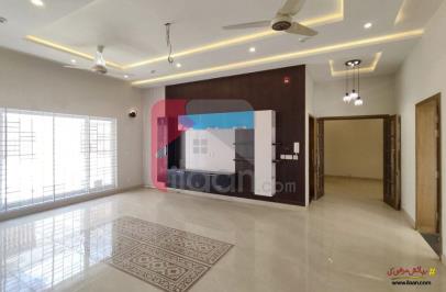 1 Kanal House for Rent in Phase 6, DHA Lahore