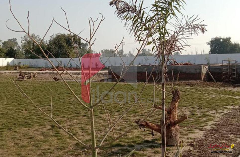 8 Kanal Farm House for Sale on Bedian Road, Lahore