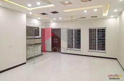 4 Marla Office for Rent in Tulip Overseas, Park View City, Lahore