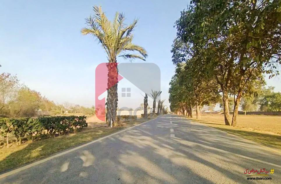 1 Kanal Agriculture Land for Sale on Bedian Road, Lahore