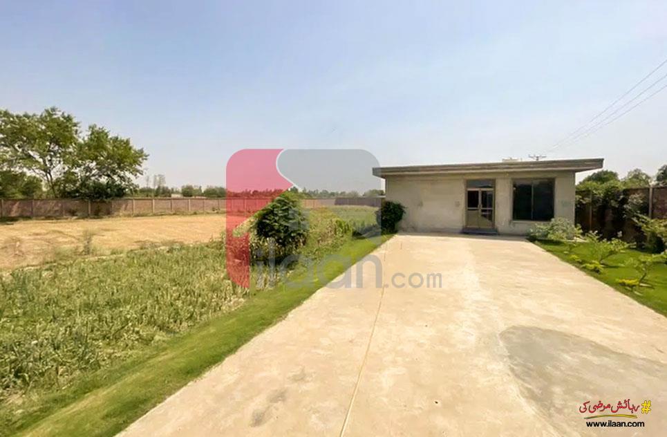 14 Kanal Agriculture Land for Sale in Thethar, Lahore